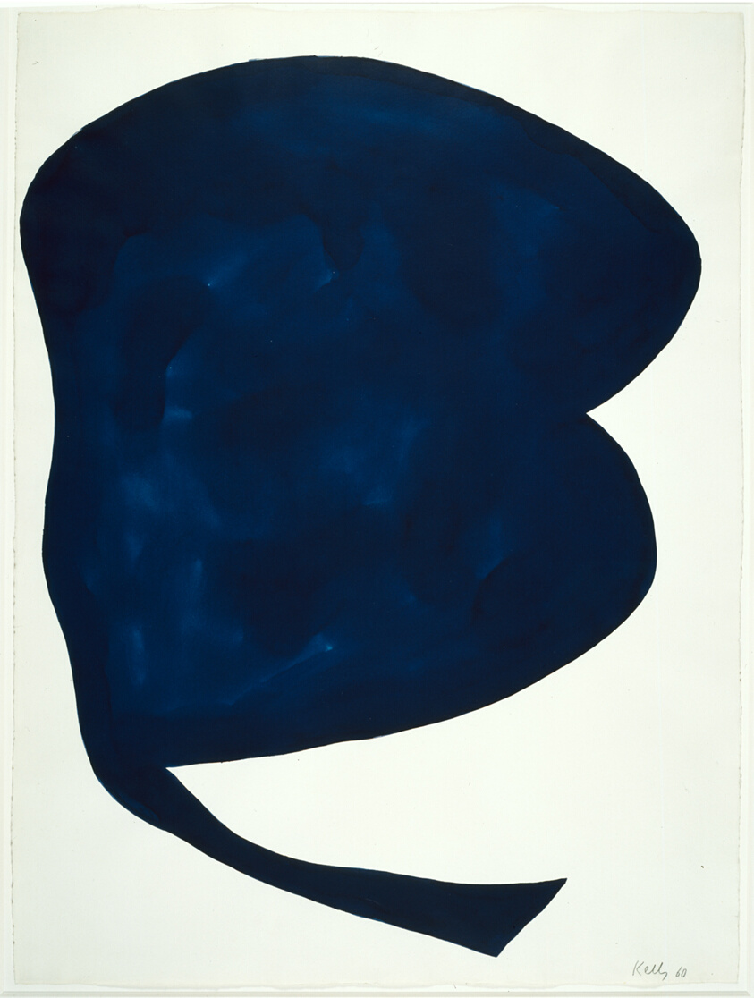 Study for "Blue White" (1960) // Ellsworth Kelly American, 1923-2015